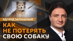 Эдгард Запашный. Жирафы и лошади Пржевальского, домашние черепахи и поиск пропавших питомцев