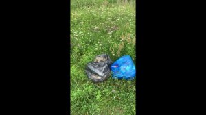 Хлам в головах людей #314 Орехово-Зуево 2025