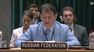 Д.А.Полянский на заседании Совета Безопасности ООН по ситуации в секторе Газа, Нью-Йорк 10 августа