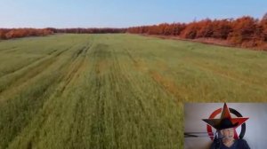 Анализ фантазий : Возраст, статус, культура и психотипы