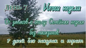 Семейная неделя без магазинов/день7