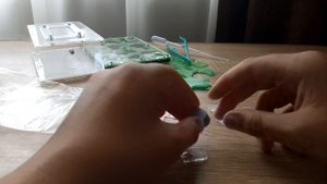 Сборка муравьиной фермы