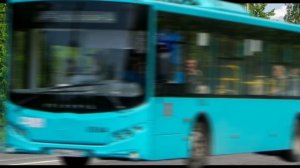 Автобус 374 Колпино Жд Ст Царское Село