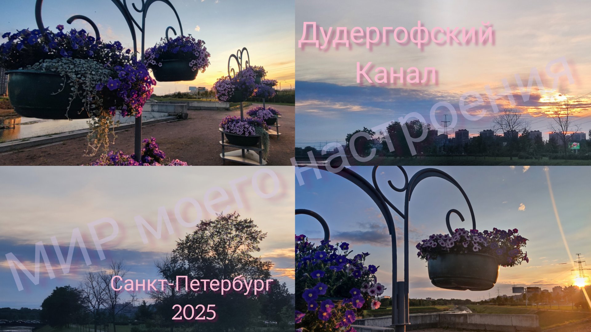 07.08.25 Вечерняя прогулка вдоль Дудергофского канала.