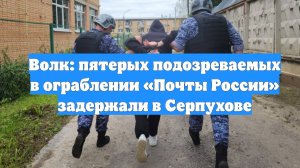 Волк: пятерых подозреваемых в ограблении «Почты России» задержали в Серпухове