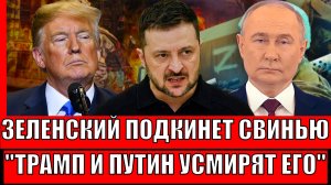 Зеленский подкидывает свинью! Трампу и Путину придётся усмирить его// Украина не знает что делать!