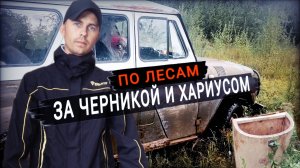 В тайгу за черникой и на рыбалку за хариусом. Тестирую новый дождевик.