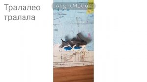 Вся коллекция лепки от брейнрот итальянские животные.