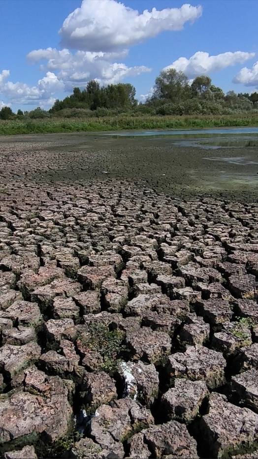 в поисках пропавших озёр смотреть онлайн