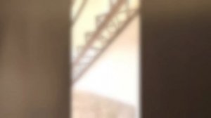 petal_20250810_233231.mp4