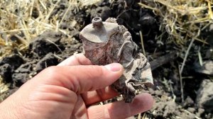 Коп на хазарском поле