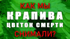 Как мы снимали «Крапива. Цветок Смерти»?