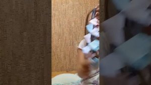 2 часть собираюсь в лагерь