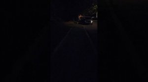 Мы идём гулять с собакой! 10-авг-2025, 2