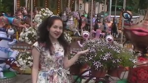 Светлана Левашова "Мой друг" текст и музыка Константин Лисичкин