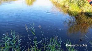 Закилошная щука поймана,а значит рыбалка удалась!