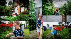 МАЛЕНЬКИЕ ДАЧНИКИ