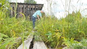 Осваиваю новую технику.