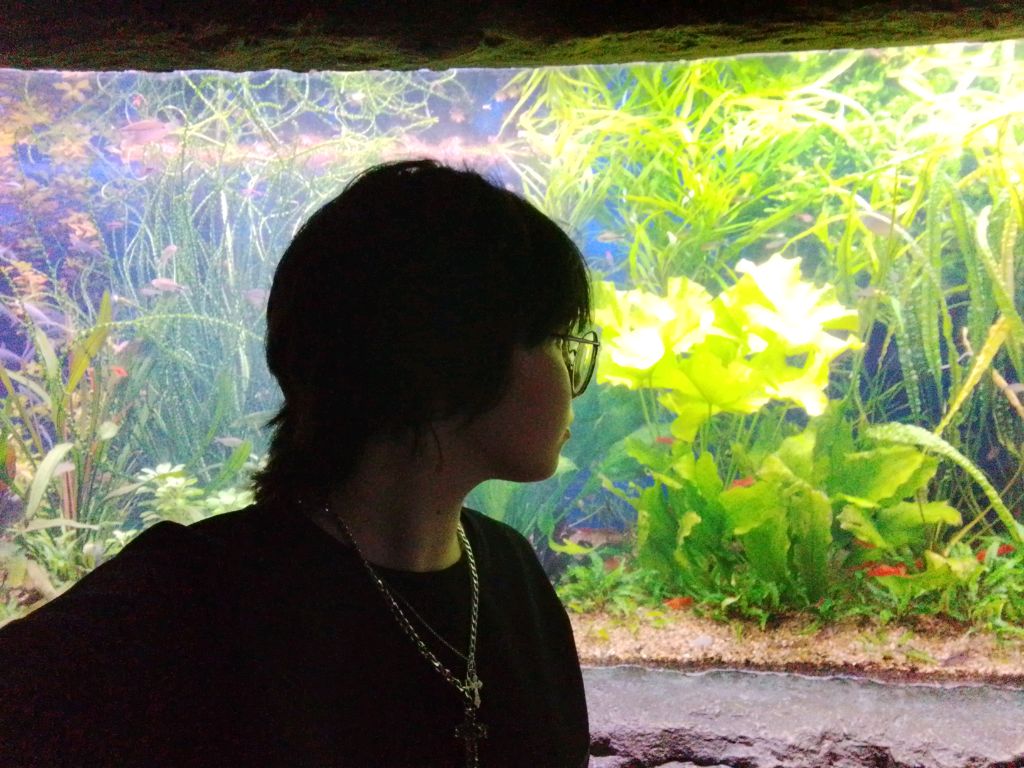 начинающий музыкант