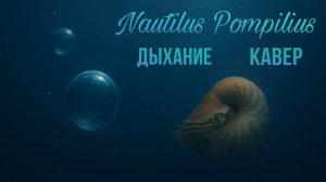 Nautilus Pompilius - Дыхание | кавер | Совместно с @NikiforrMusic