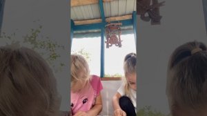 Пампу