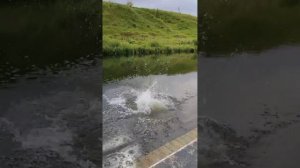 Влог: из Ташкента в Тульскую область в гости 🤝☕🍻🎉