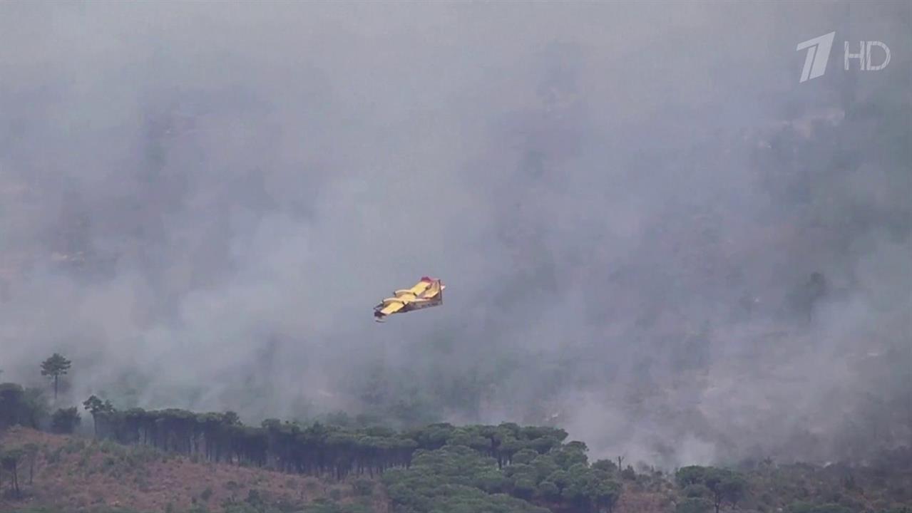 В Италии и Греции стремительно распространяются мощные лесные пожары