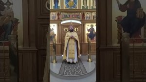 Память вмч. и целителя Пантелеимона. О здоровье и болезнях тела и души. Проповедь о. Андрея. 9.8.25