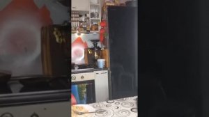 РАСТОПЫРКА ЧЕК ! ВСЕМ ПРИЕТУЛИ!)