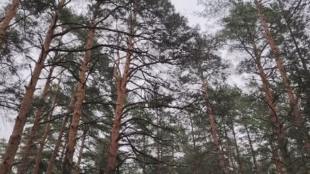 Стоит ли нищему стараться быстро разбогатеть?