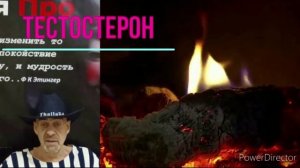 Миф о тестостероне : Сильные проигрывают умным