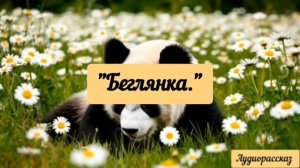 Про собаку, которая не просто так потерялась.