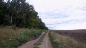 Зачарованный край. 😊