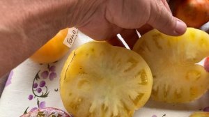 IMG_8832 Коллекционные томаты, в разрезе.