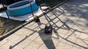 Едем за новым членом семьи.Кошечкой Аделью.09.08.25