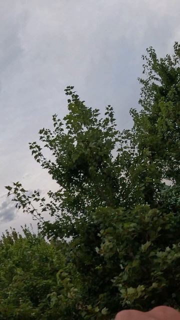 качели Самоцветы смотреть онлайн