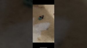 разбор от бума