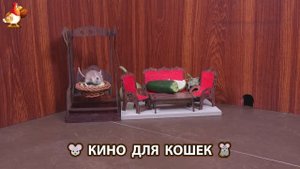 Видео для кошек про крысок развлекать питомцев 🐭🐀😂 (259)