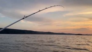 ловля судака на закате