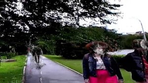 НЕВИДИМЫЕ ЭФИРНЫЕ СУЩЕСТВА, ОКРУЖАЮЩИЕ НАС  
(Ясон Феникс)