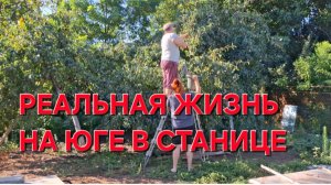 688 Из Краснодара в станицу. Реальная жизнь на юге.
