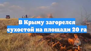 В Крыму загорелся сухостой на площади 20 га
