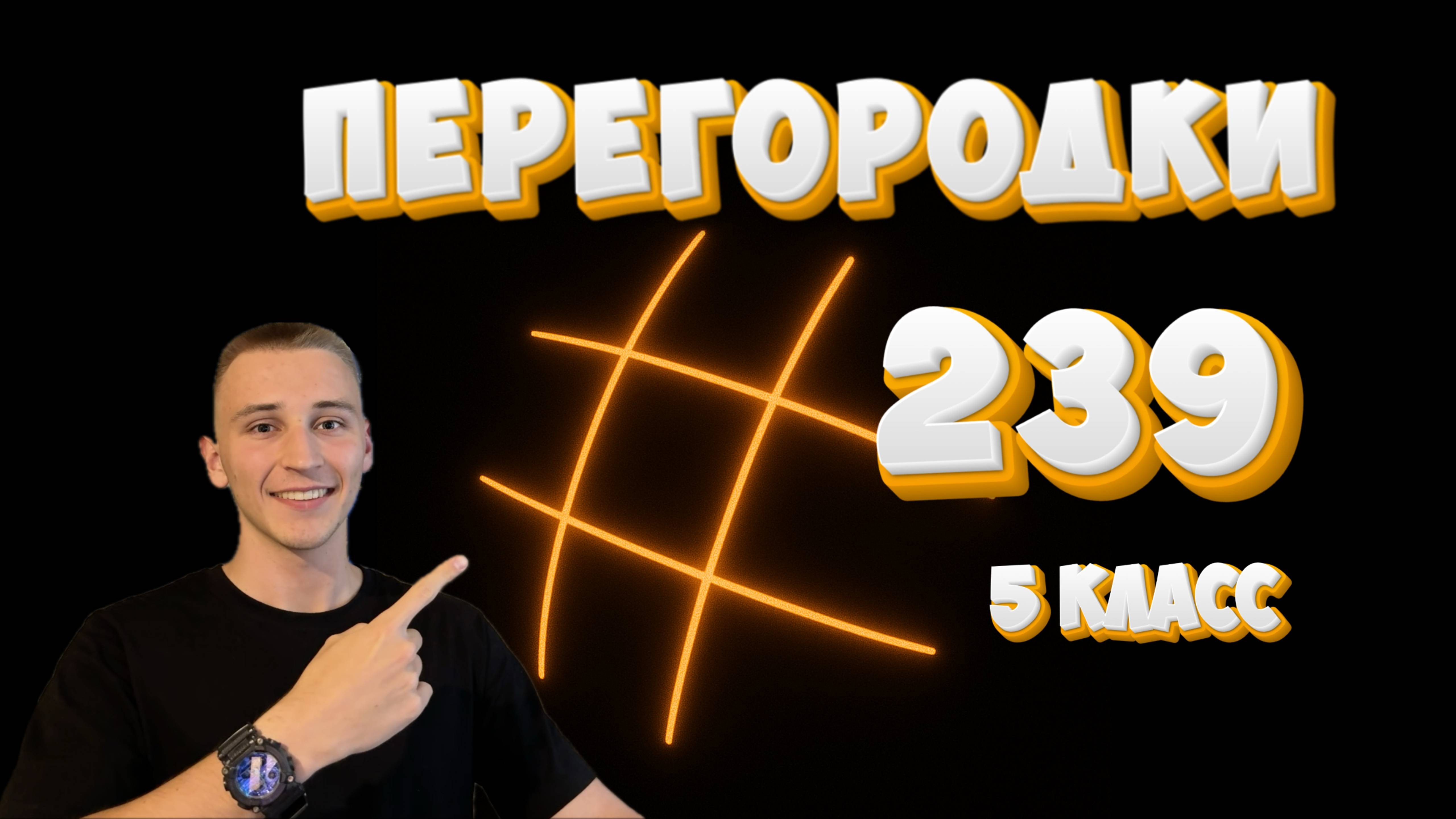 Поступление в 239. Перегородки