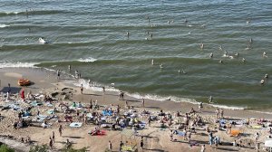 Обзор пляжей в курортном Светлогорске, август 2025 года