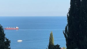 Ялта. Самое любимое море... Полнолуние. Лунная дорожка. 09 августа 2025. Крым. Crimea. Yalta.