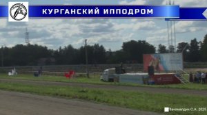 09.08.2025 - Заезд 2: Приз "Пиона" для лошадей орловской рысистой породы 5-и лет и старше.