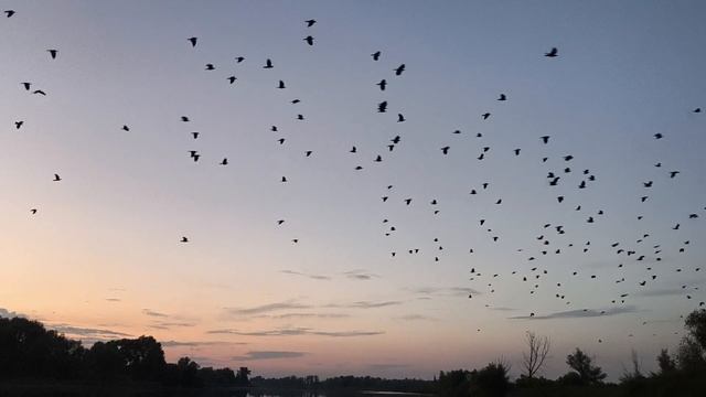 Прекрасный закат на Мёше смотреть онлайн