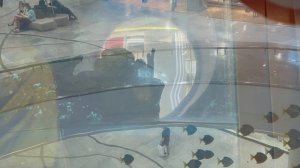 Аквариум в ТЦ Океания