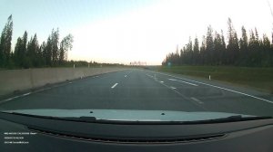 Лось на трассе. Приозерское шоссе в сторону Сортавалы