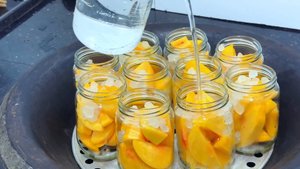 Сяо Ли - Персики очень сладкие и большие. Сделали 23 банки консервированных персиков